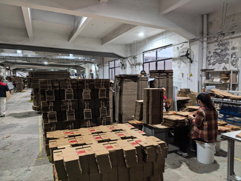 IMG20251117164356 IMG20251117164356