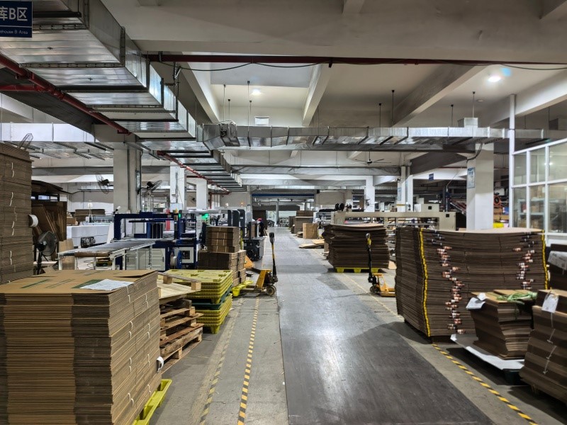 IMG20251117164914 IMG20251117164914